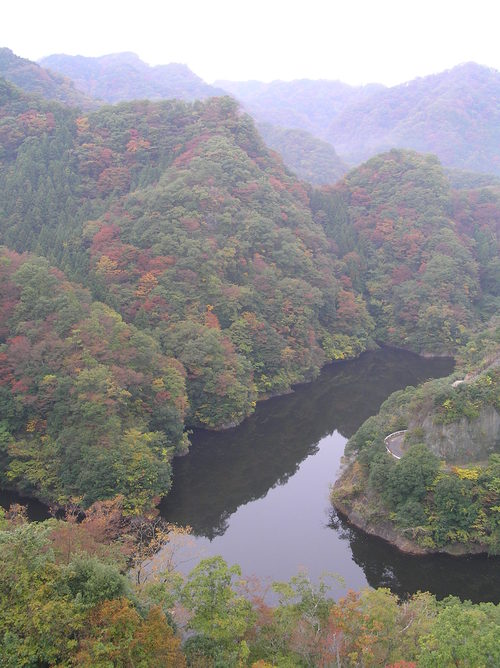 20051105_ibarakitrip_003
